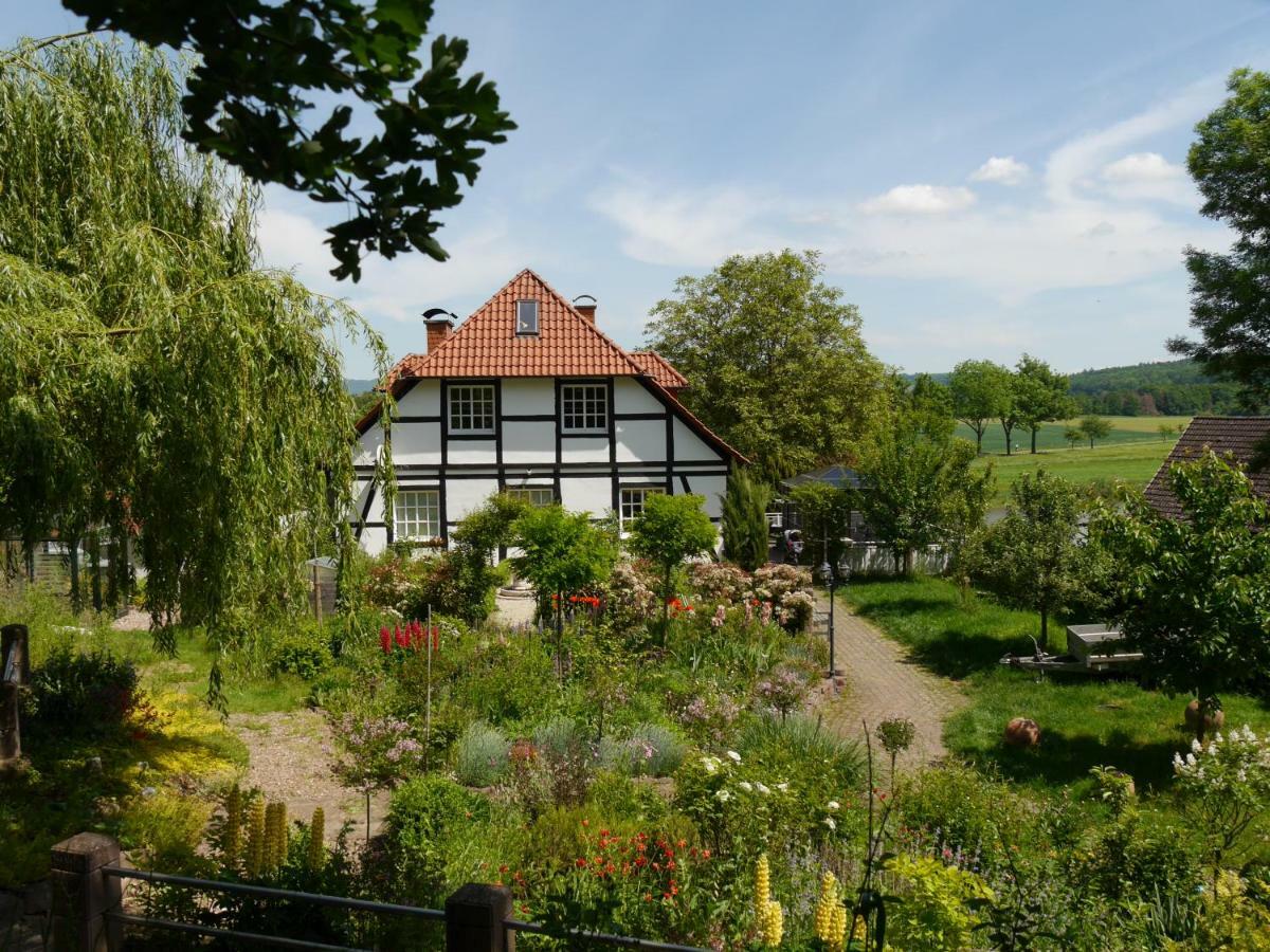 Ferienwohnung Weserblick Polle Экстерьер фото
